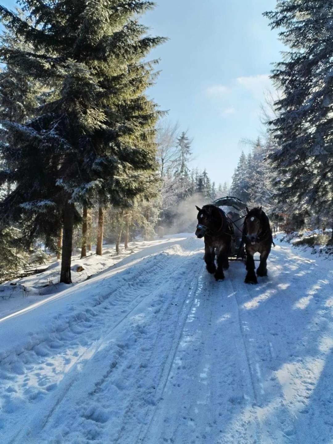 Domki 4 Pory Roku Koniaków Exteriör bild