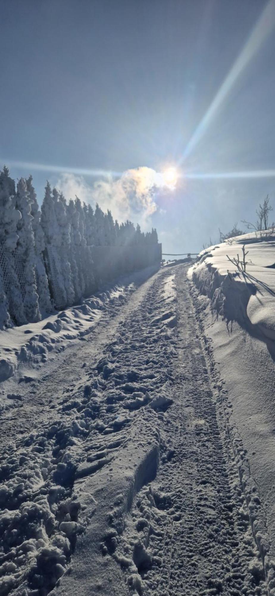 Domki 4 Pory Roku Koniaków Exteriör bild